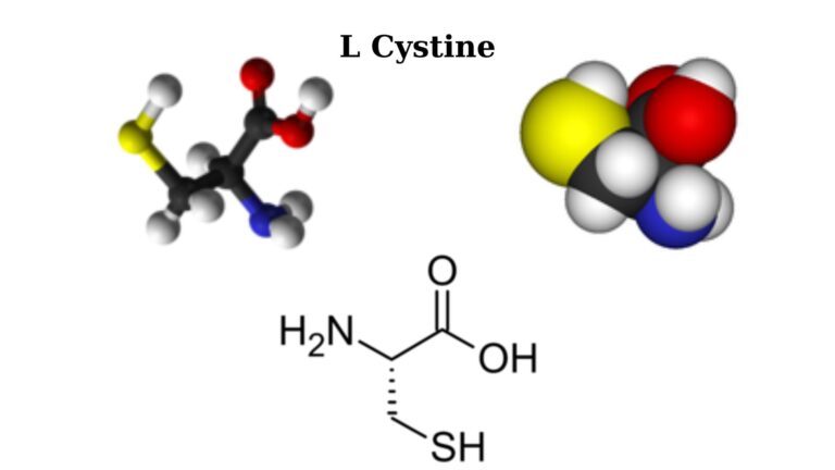 L Cystine là gì và vai trò của L Cystine làm trắng da, trị nám, chống lão hoá, kích thích mọc tóc